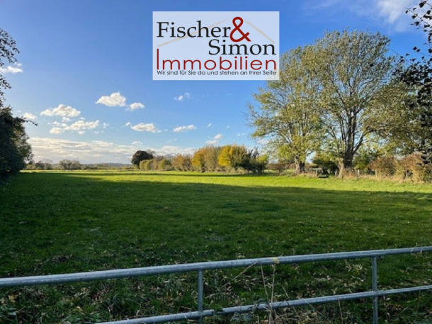 Drakenburg - attraktive Grünlandfläche in der Drakenburger Marsch-leicht zugänglich